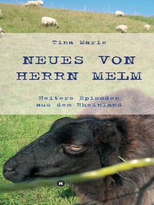 cover image of Neues von Herrn Melm